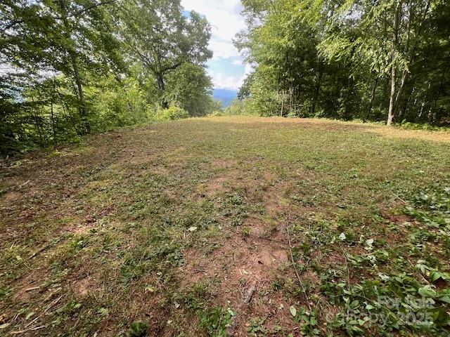 105 Starlight Lane Property Photo 24