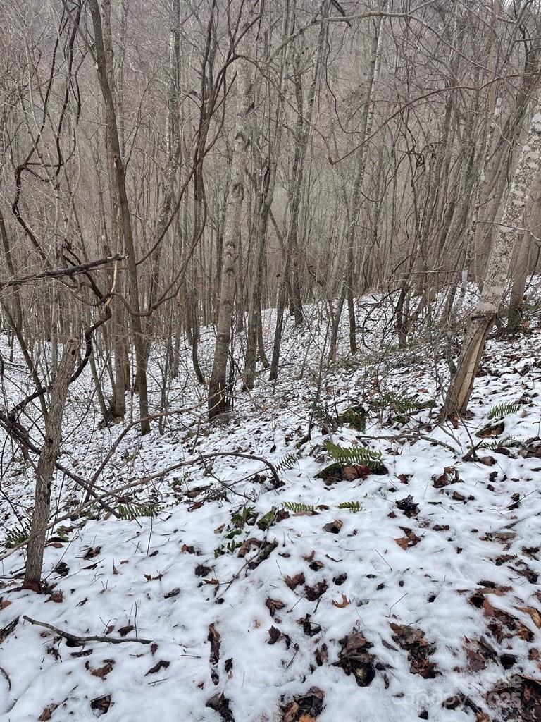 105 Starlight Lane Property Photo 27