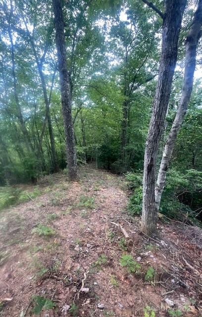 105 Starlight Lane Property Photo 28