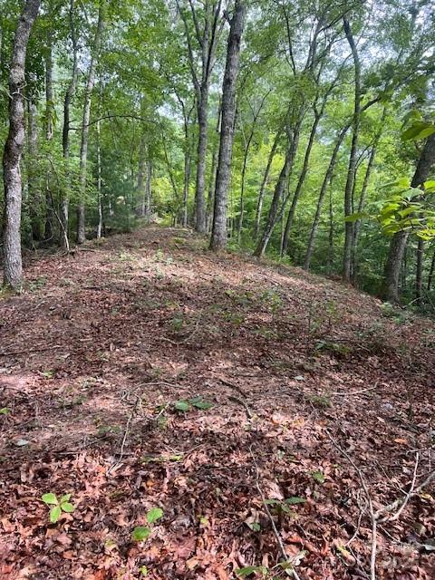 105 Starlight Lane Property Photo 29