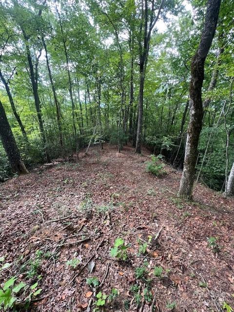 105 Starlight Lane Property Photo 30