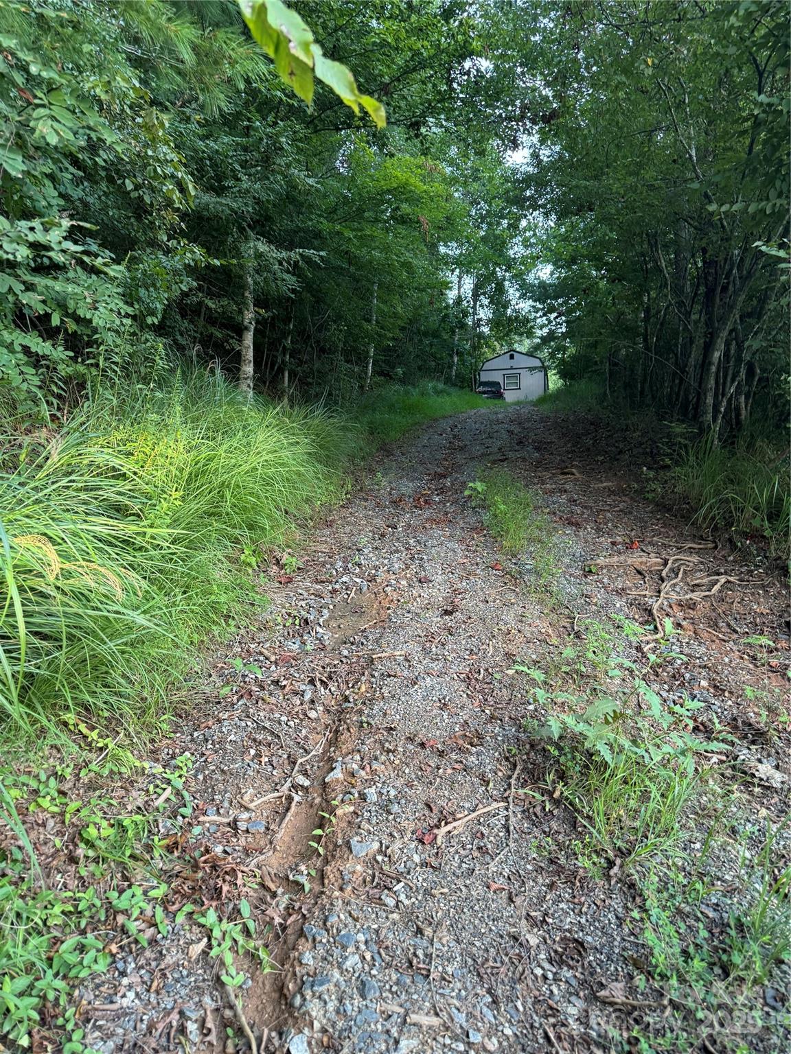 Tbd Grapevine Road Property Photo 1