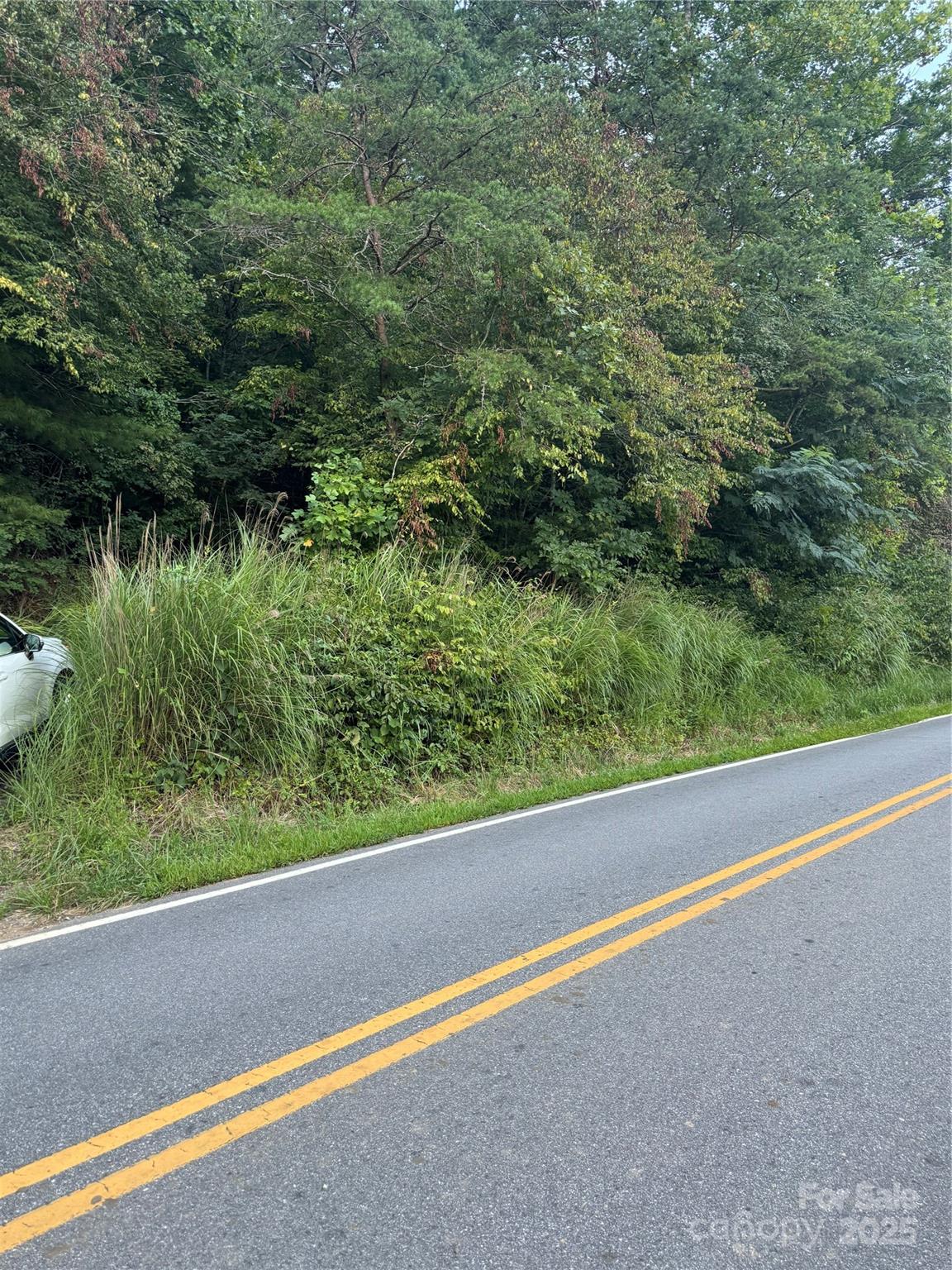 Tbd Grapevine Road Property Photo 2