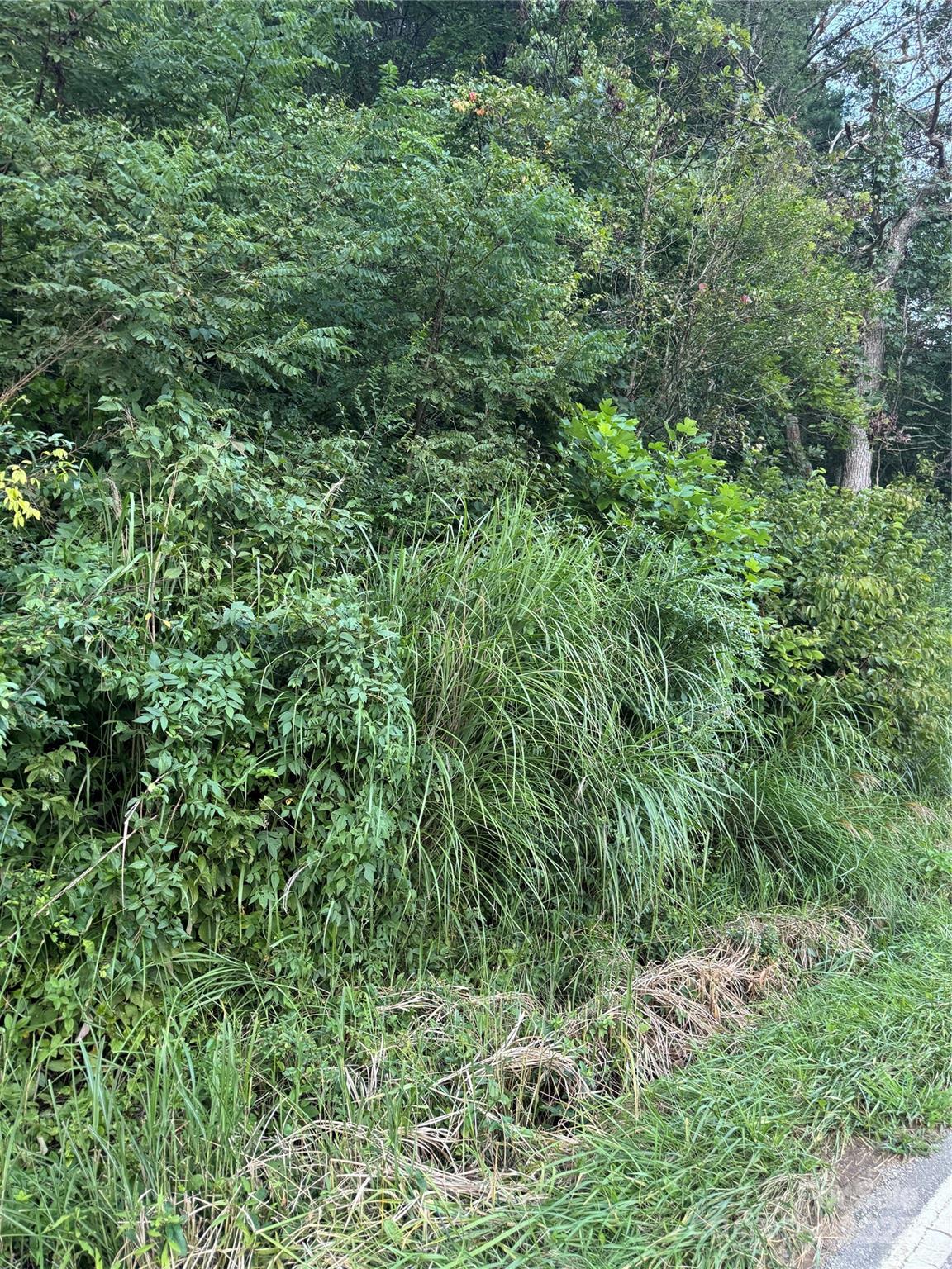 Tbd Grapevine Road Property Photo 5