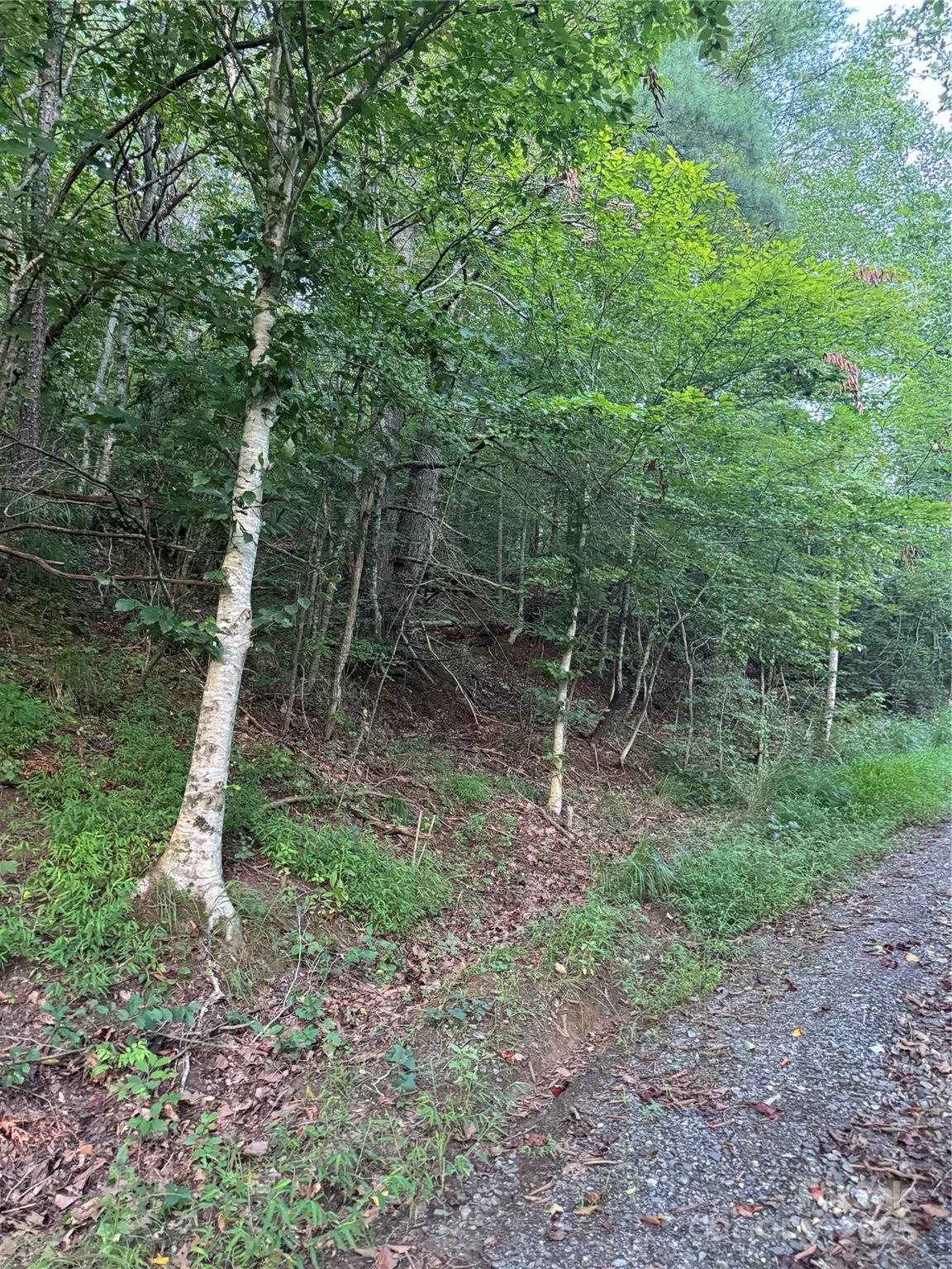 Tbd Grapevine Road Property Photo 6