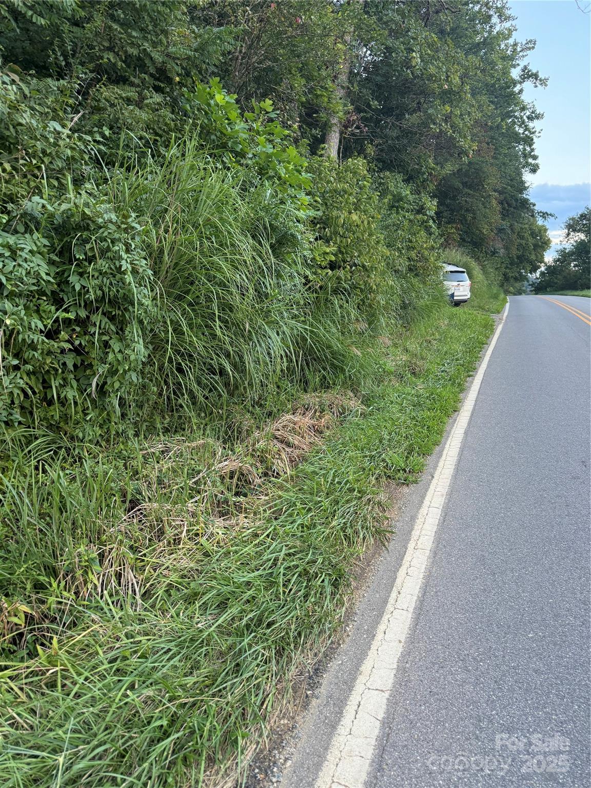 Tbd Grapevine Road Property Photo 8