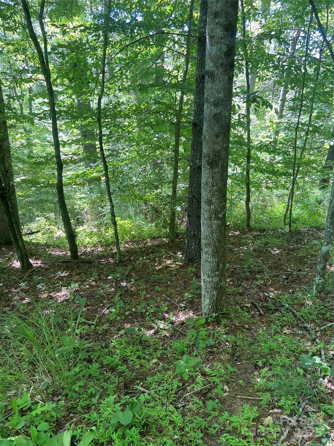 Tbd Grapevine Road Property Photo 10