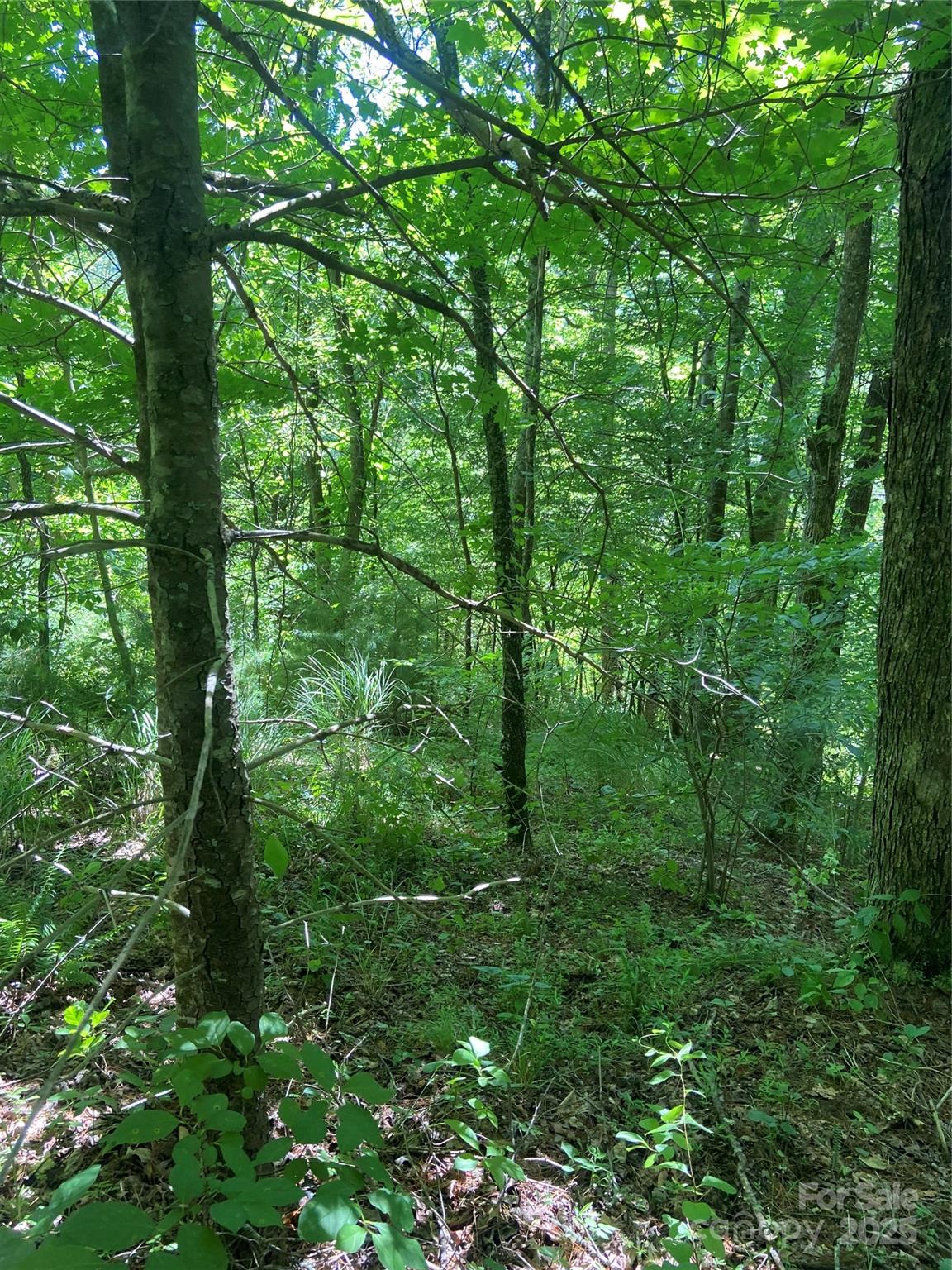 Tbd Grapevine Road Property Photo 11