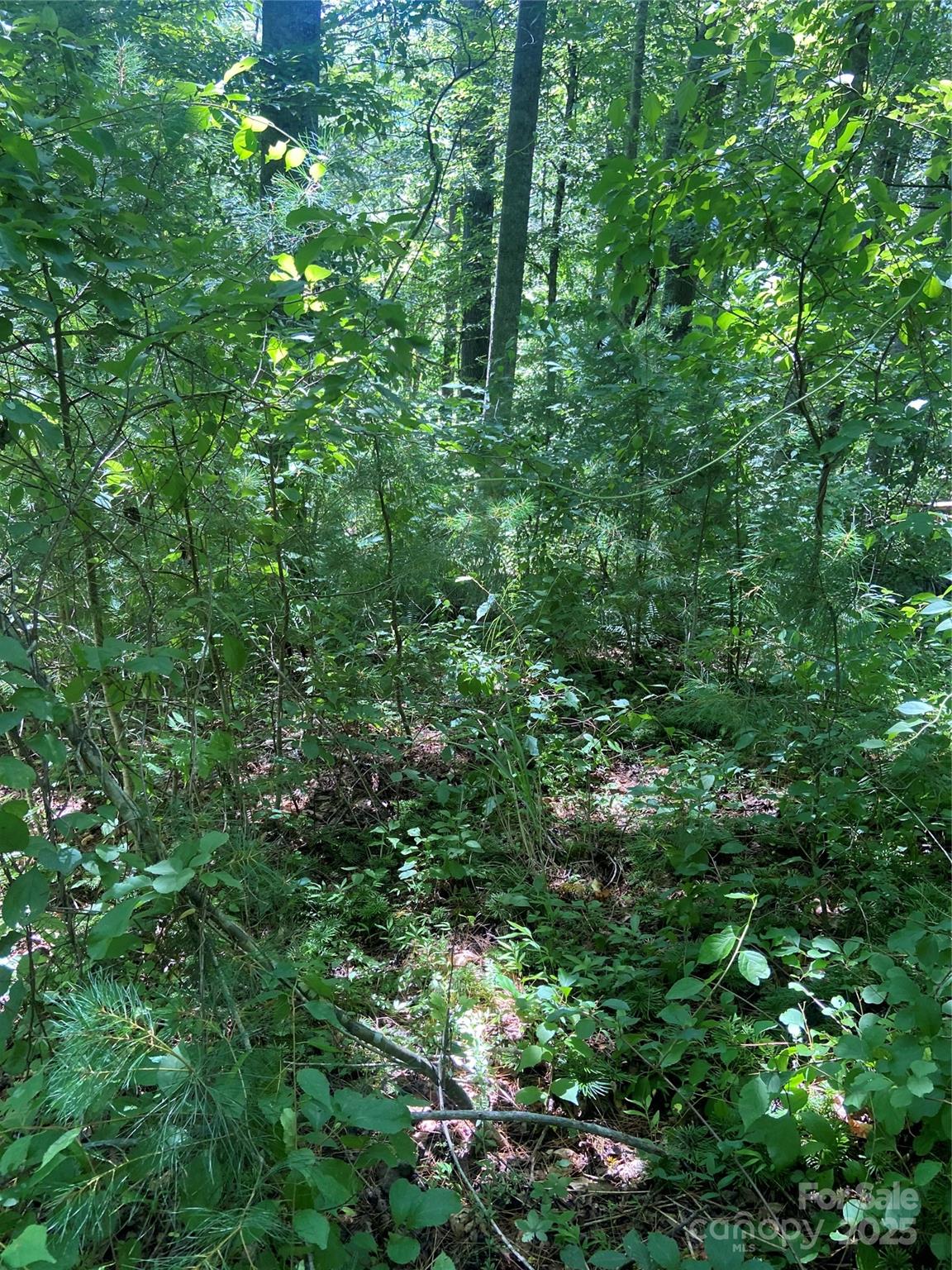 Tbd Grapevine Road Property Photo 14