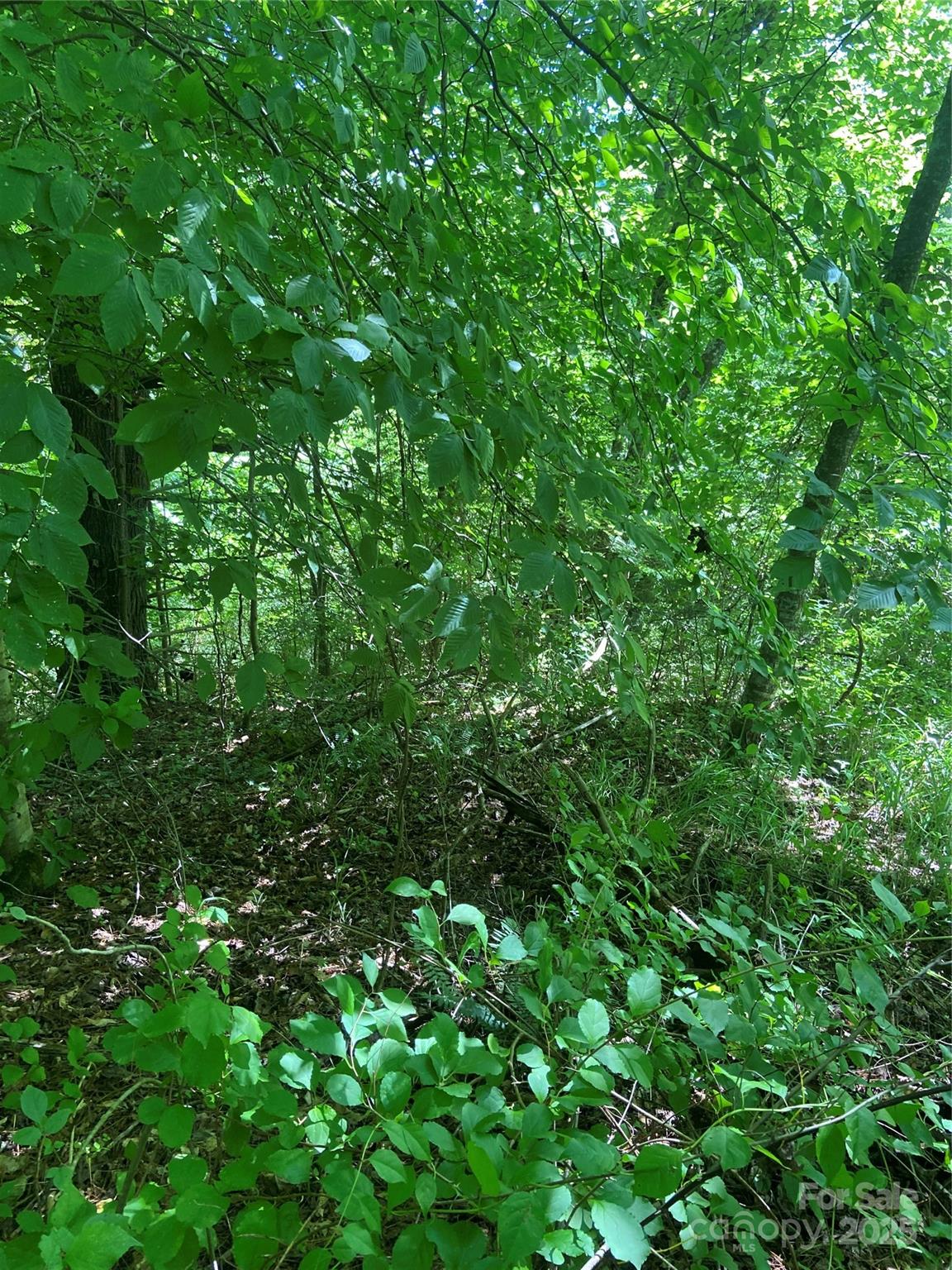 Tbd Grapevine Road Property Photo 15