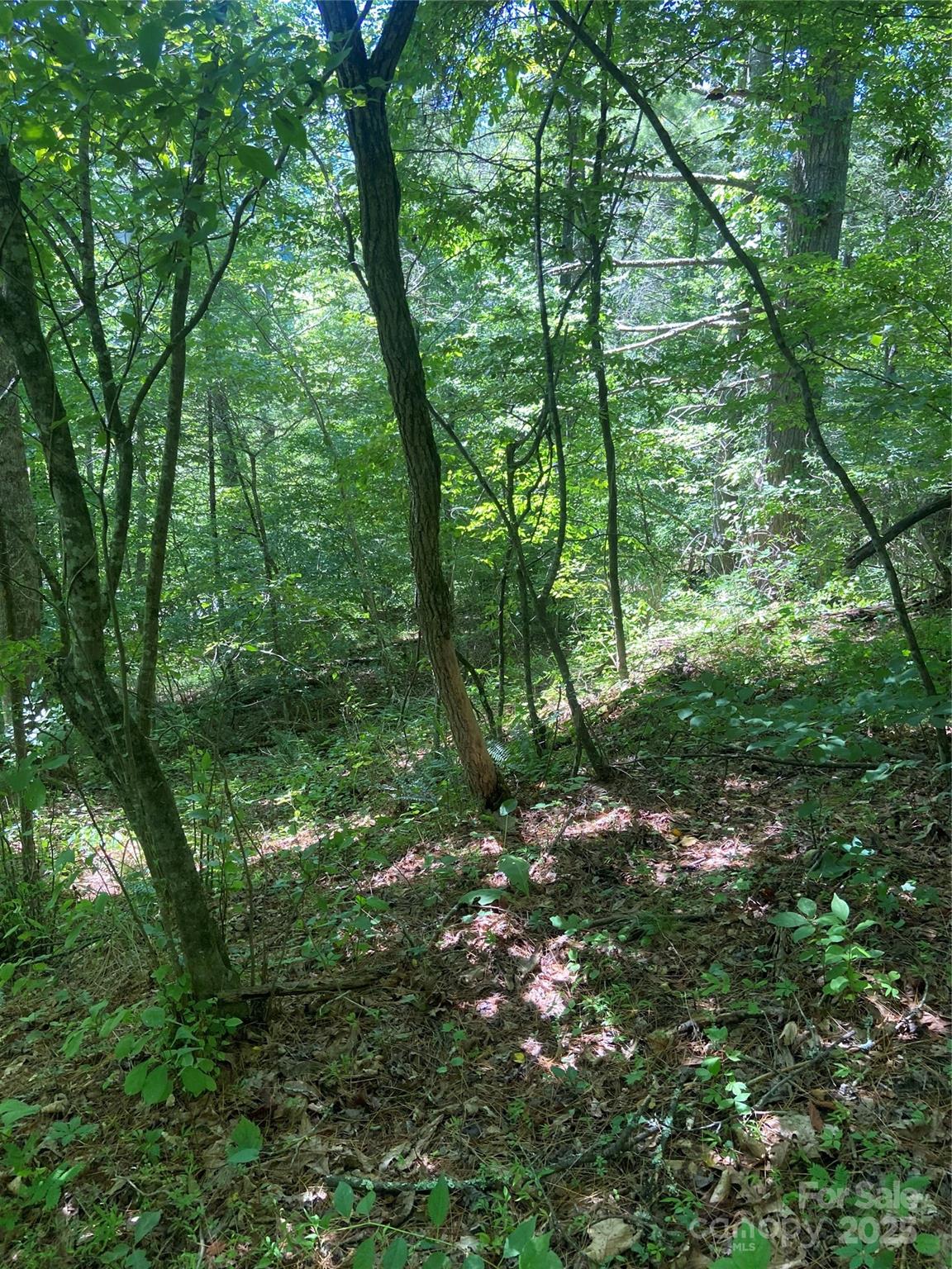 Tbd Grapevine Road Property Photo 18