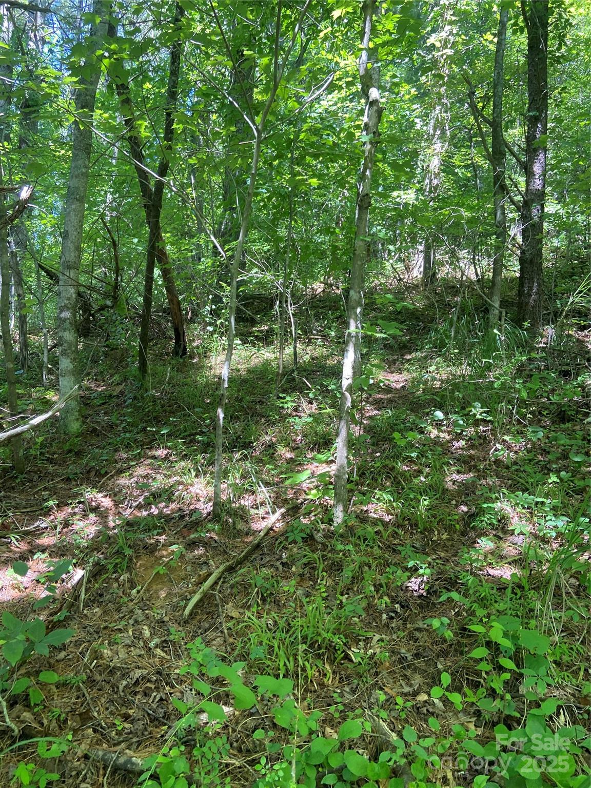 Tbd Grapevine Road Property Photo 19