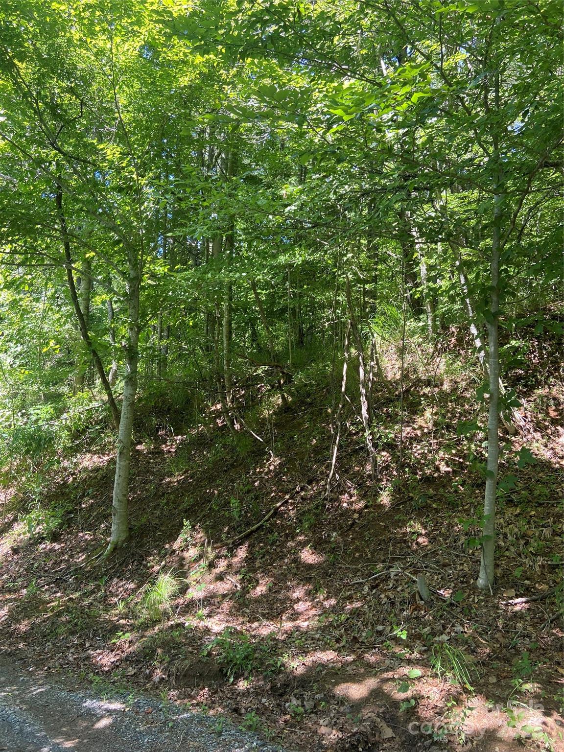 Tbd Grapevine Road Property Photo 20