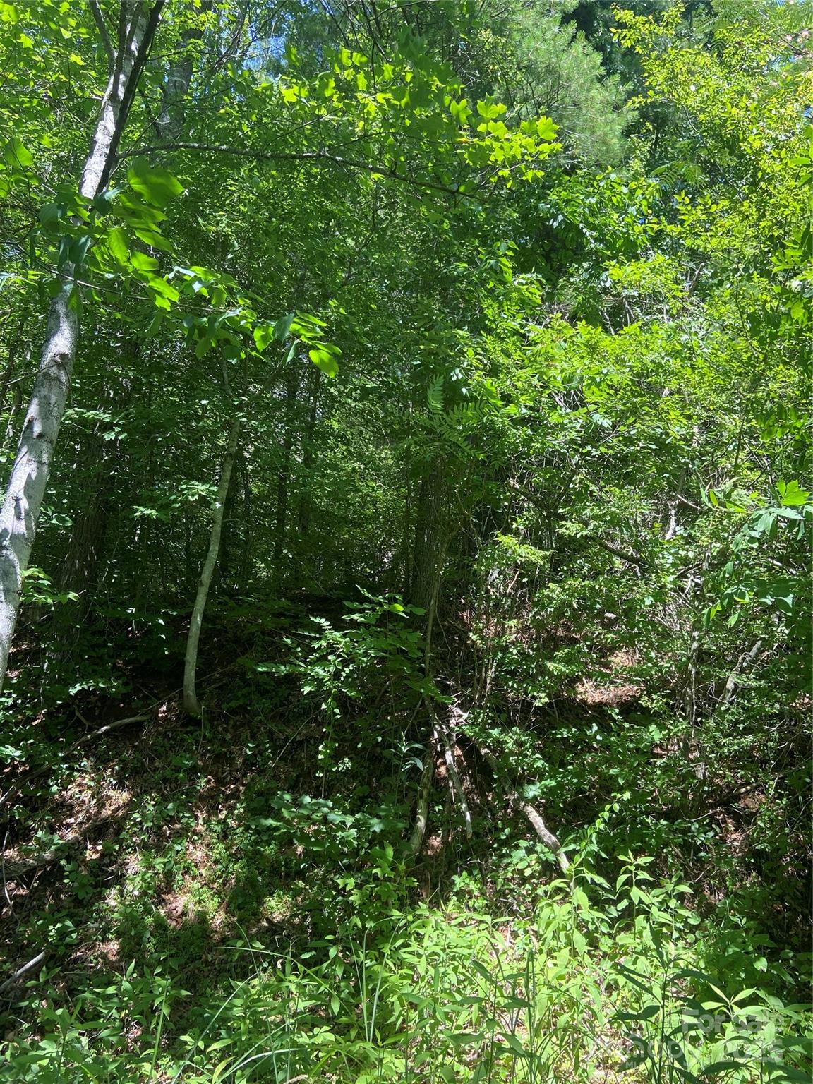 Tbd Grapevine Road Property Photo 21