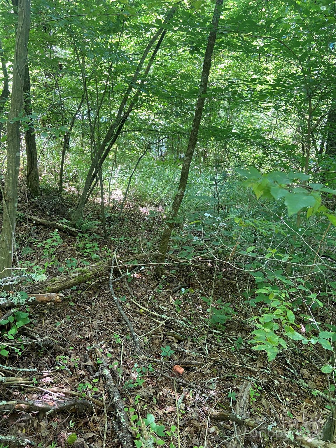 Tbd Grapevine Road Property Photo 22