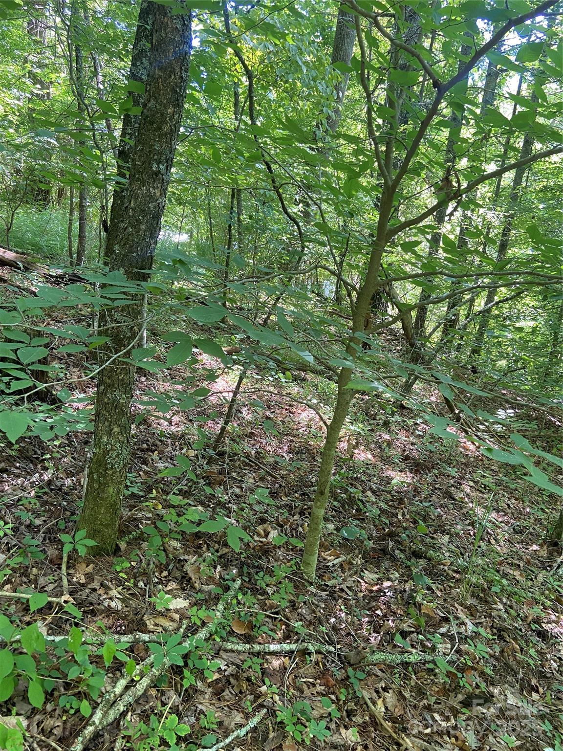 Tbd Grapevine Road Property Photo 23