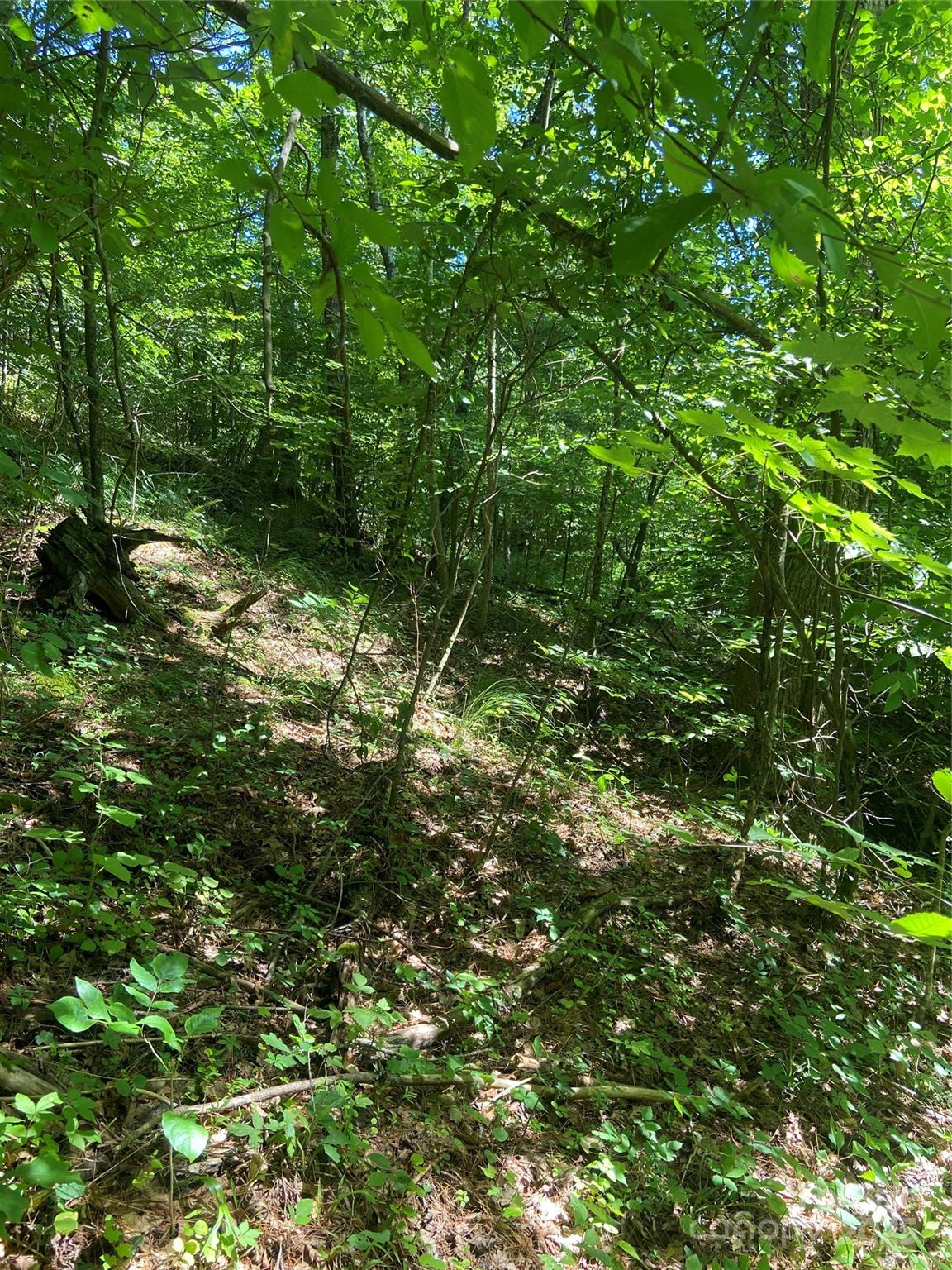 Tbd Grapevine Road Property Photo 24