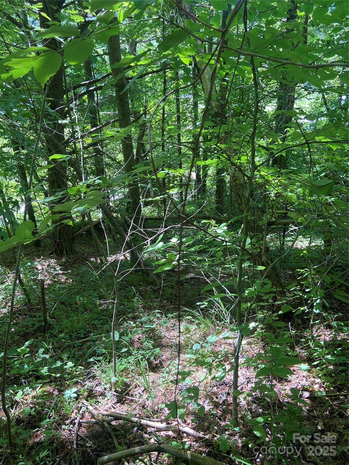 Tbd Grapevine Road Property Photo 25