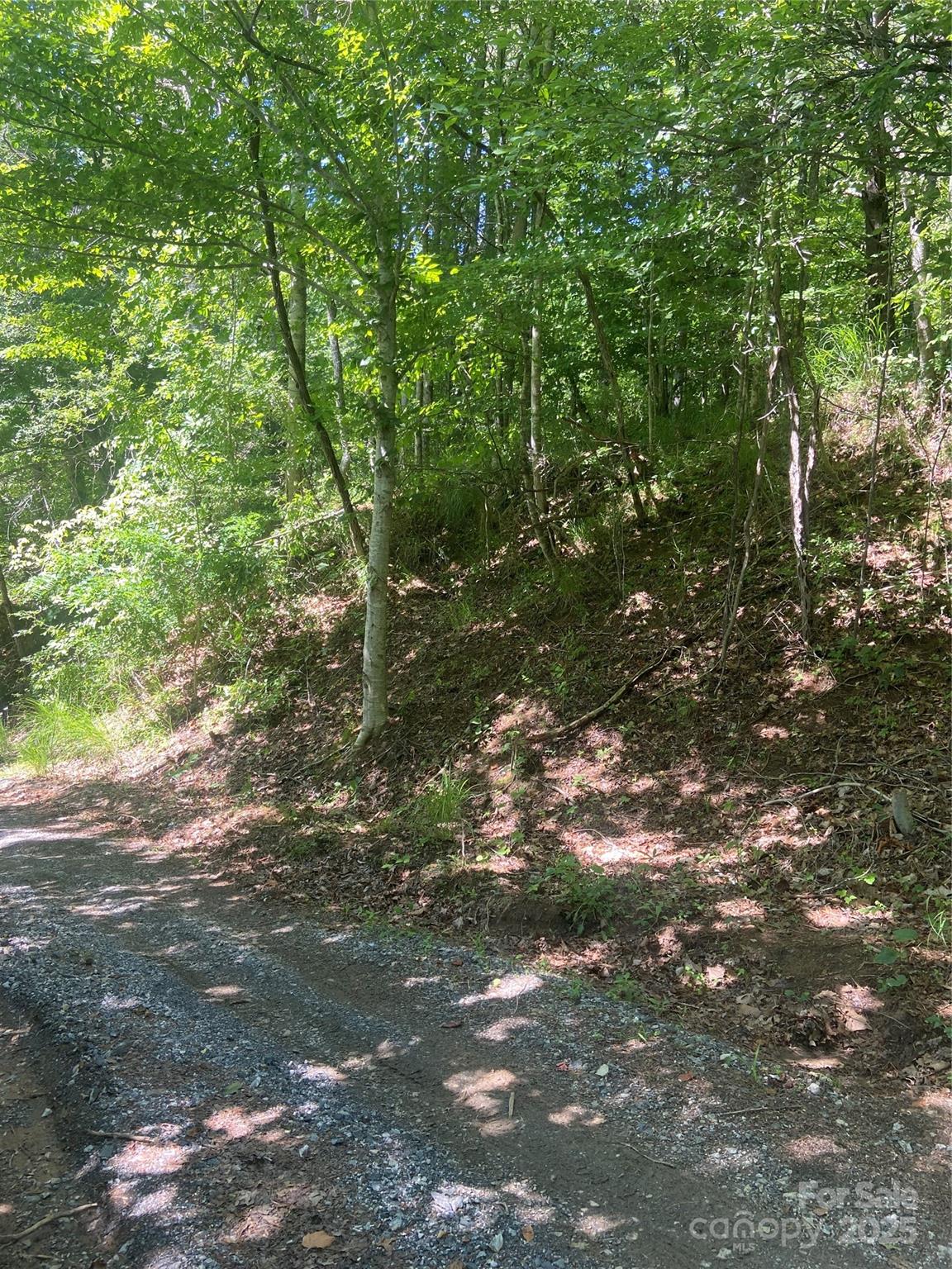 Tbd Grapevine Road Property Photo 27