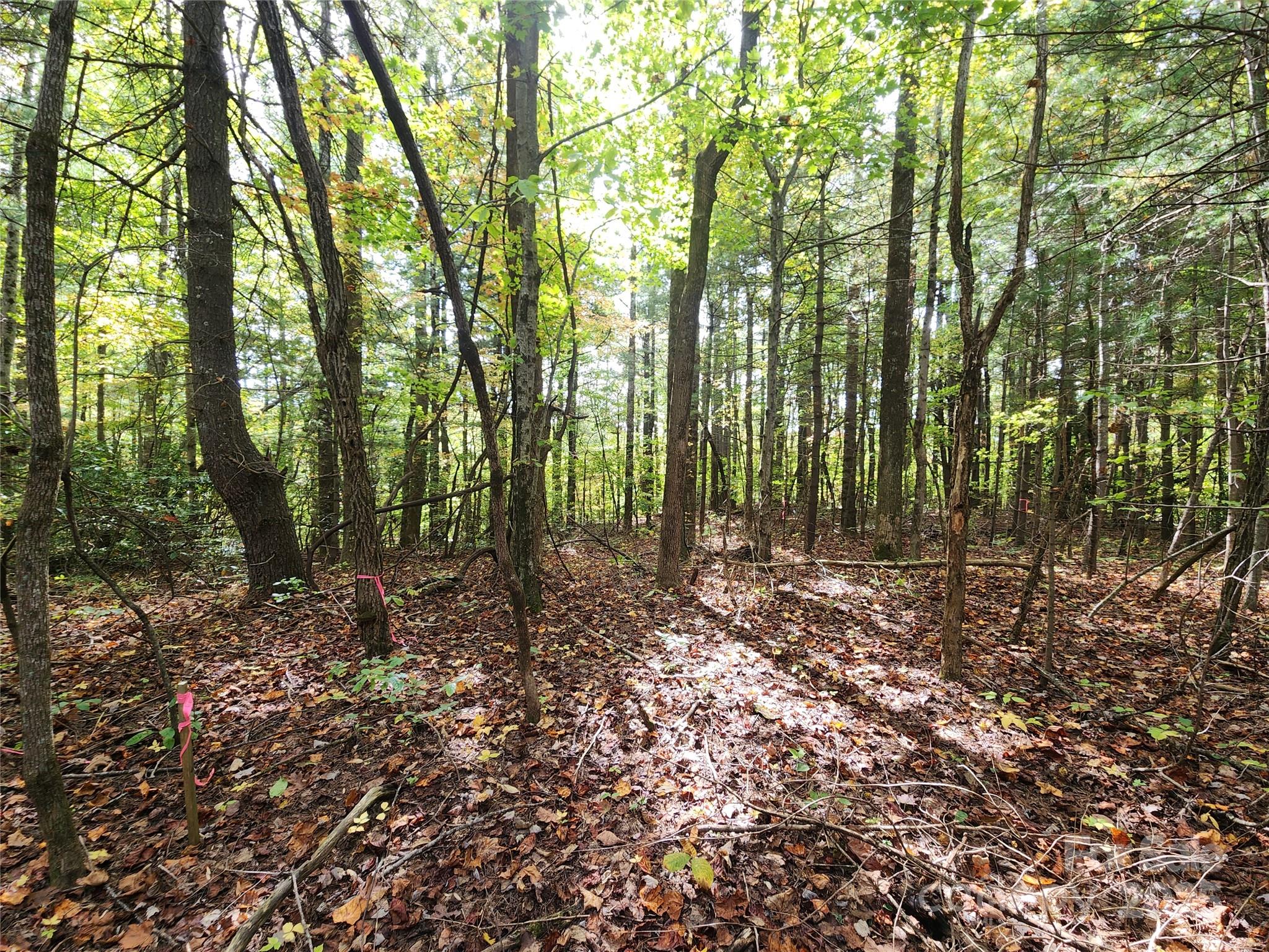 99999 N Pointe Drive 5 And #30 Property Photo 2