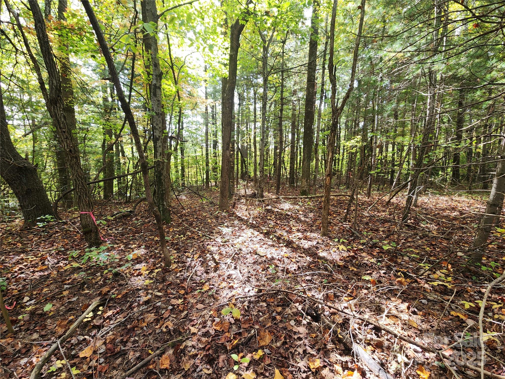 99999 N Pointe Drive 5 And #30 Property Photo 3