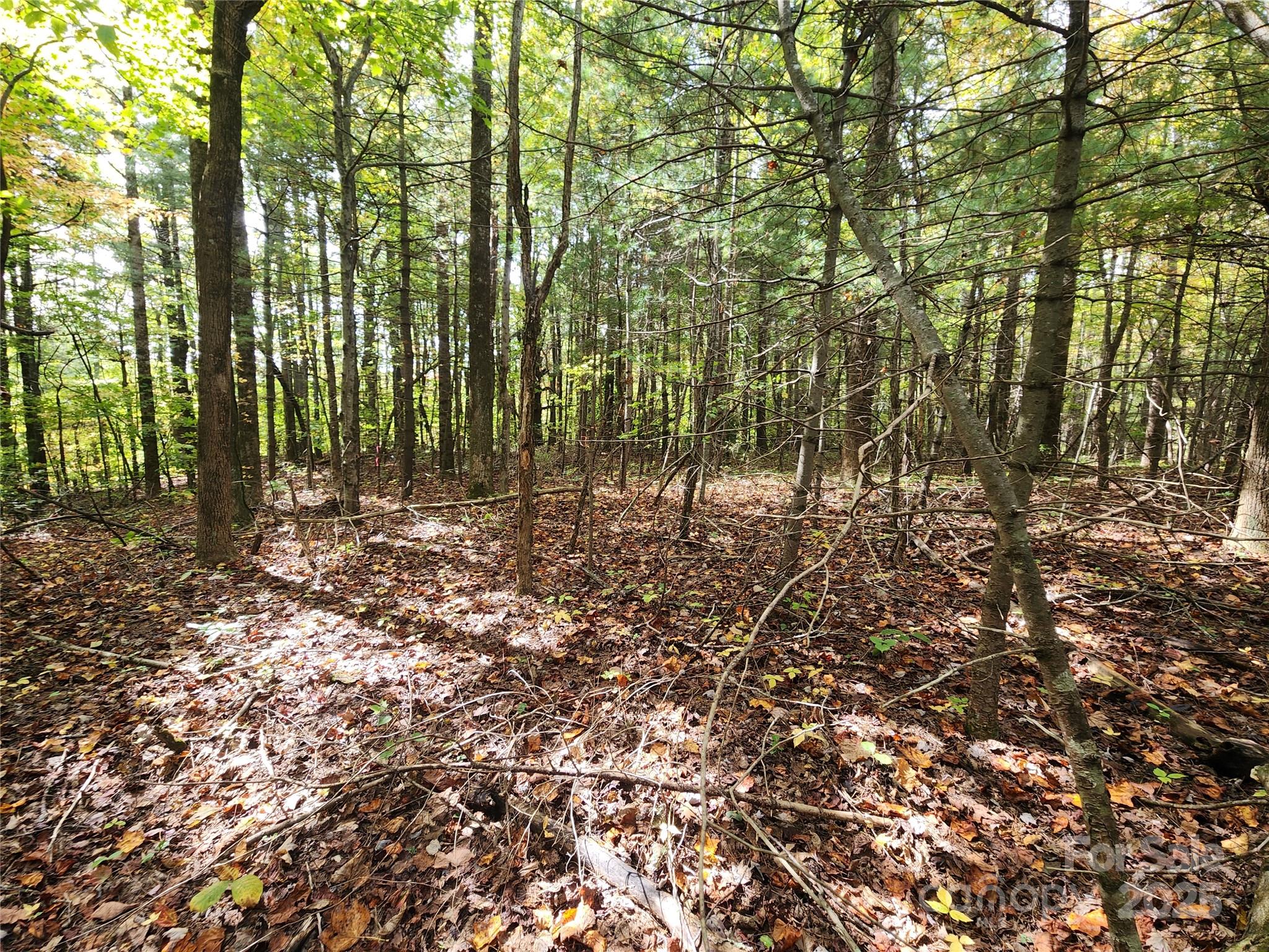 99999 N Pointe Drive 5 And #30 Property Photo 4