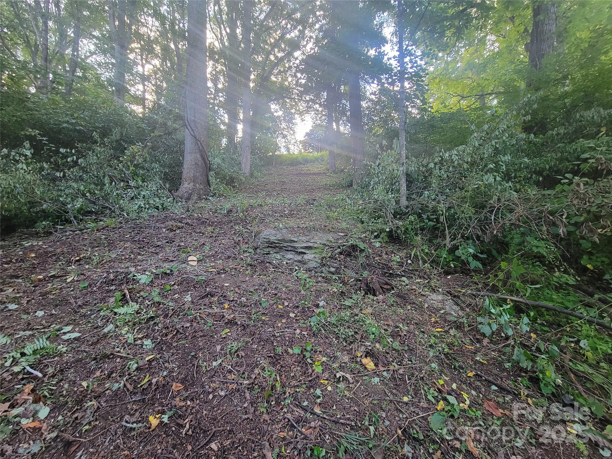 0 Blink Bonny Drive B11 Property Photo 6