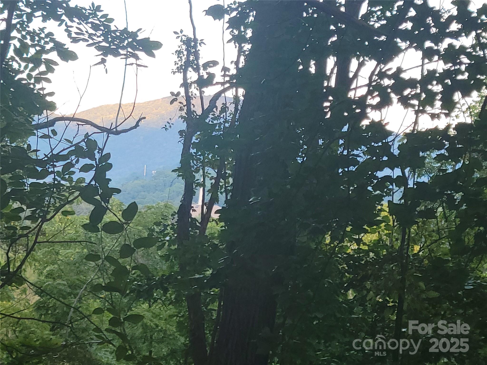 0 Blink Bonny Drive B11 Property Photo 12