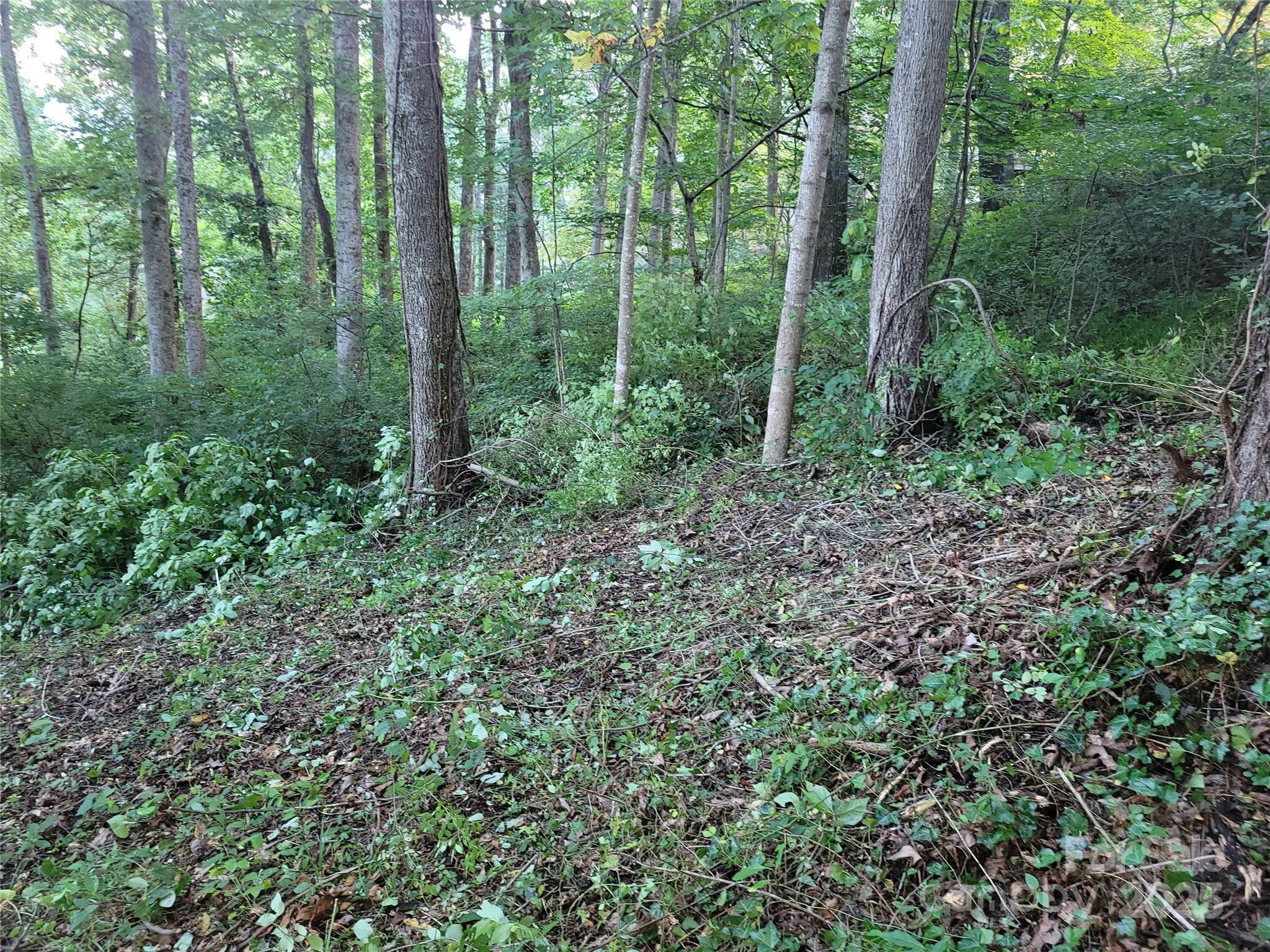 0 Blink Bonny Drive B11 Property Photo 14