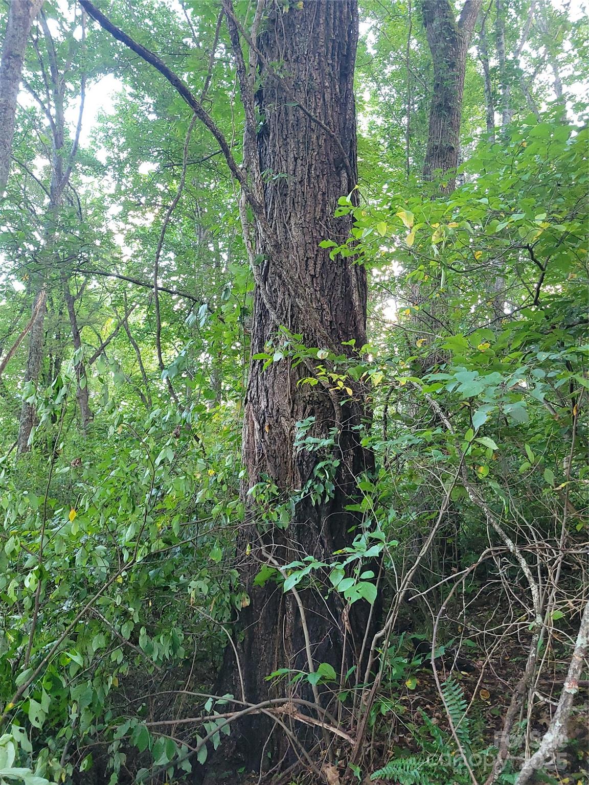 0 Blink Bonny Drive B11 Property Photo 22