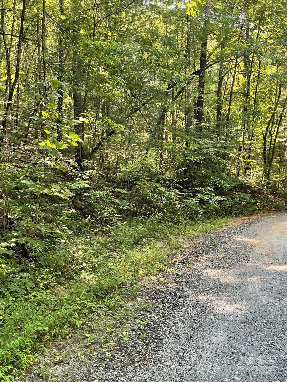 0 S Poplar Drive 162 Property Photo 5