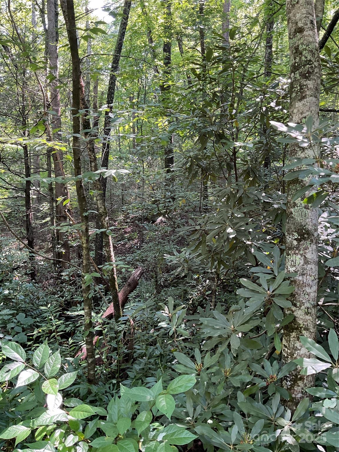 0 S Poplar Drive 162 Property Photo 6