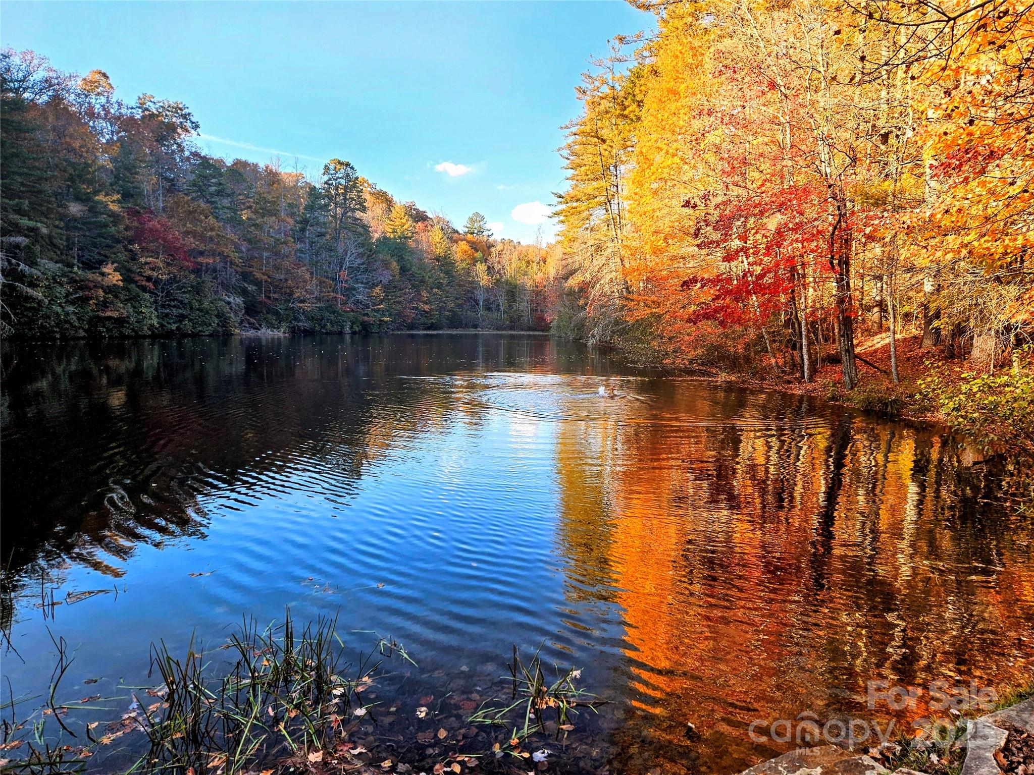 900 Bud Siniard Road Property Photo 1