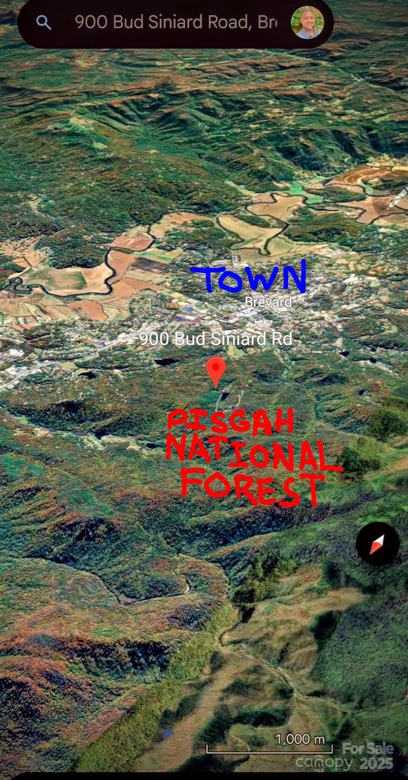 900 Bud Siniard Road Property Photo 3