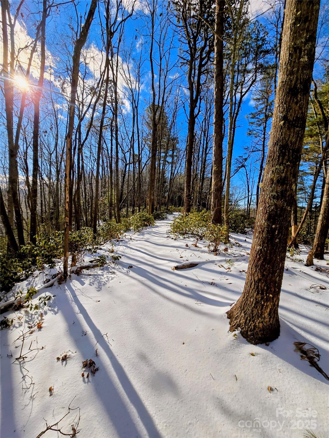 900 Bud Siniard Road Property Photo 4