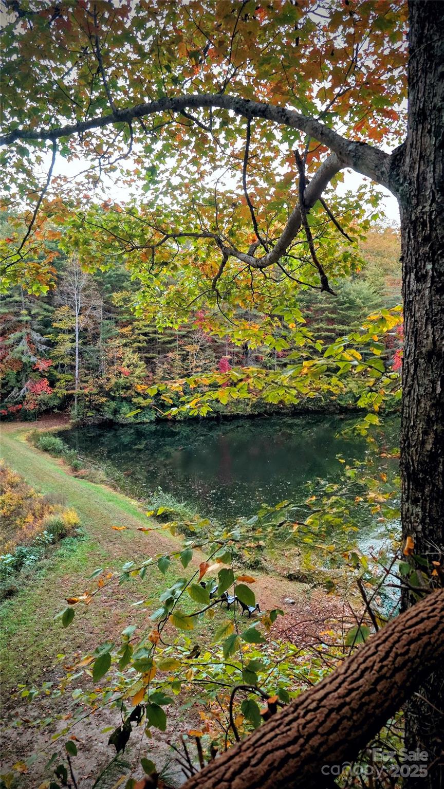 900 Bud Siniard Road Property Photo 6