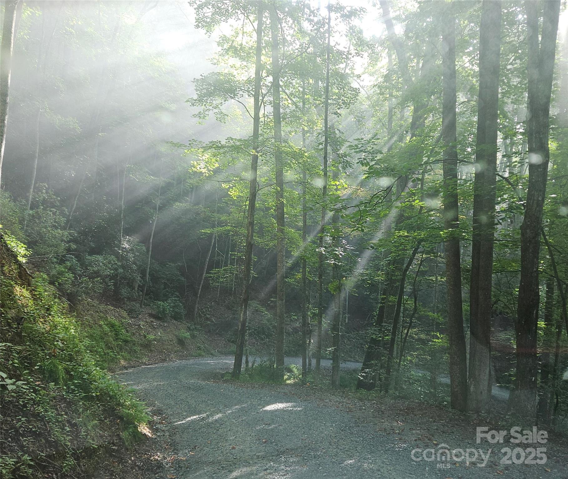 900 Bud Siniard Road Property Photo 8