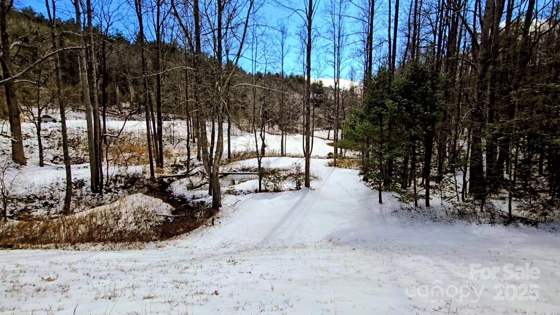 900 Bud Siniard Road Property Photo 9