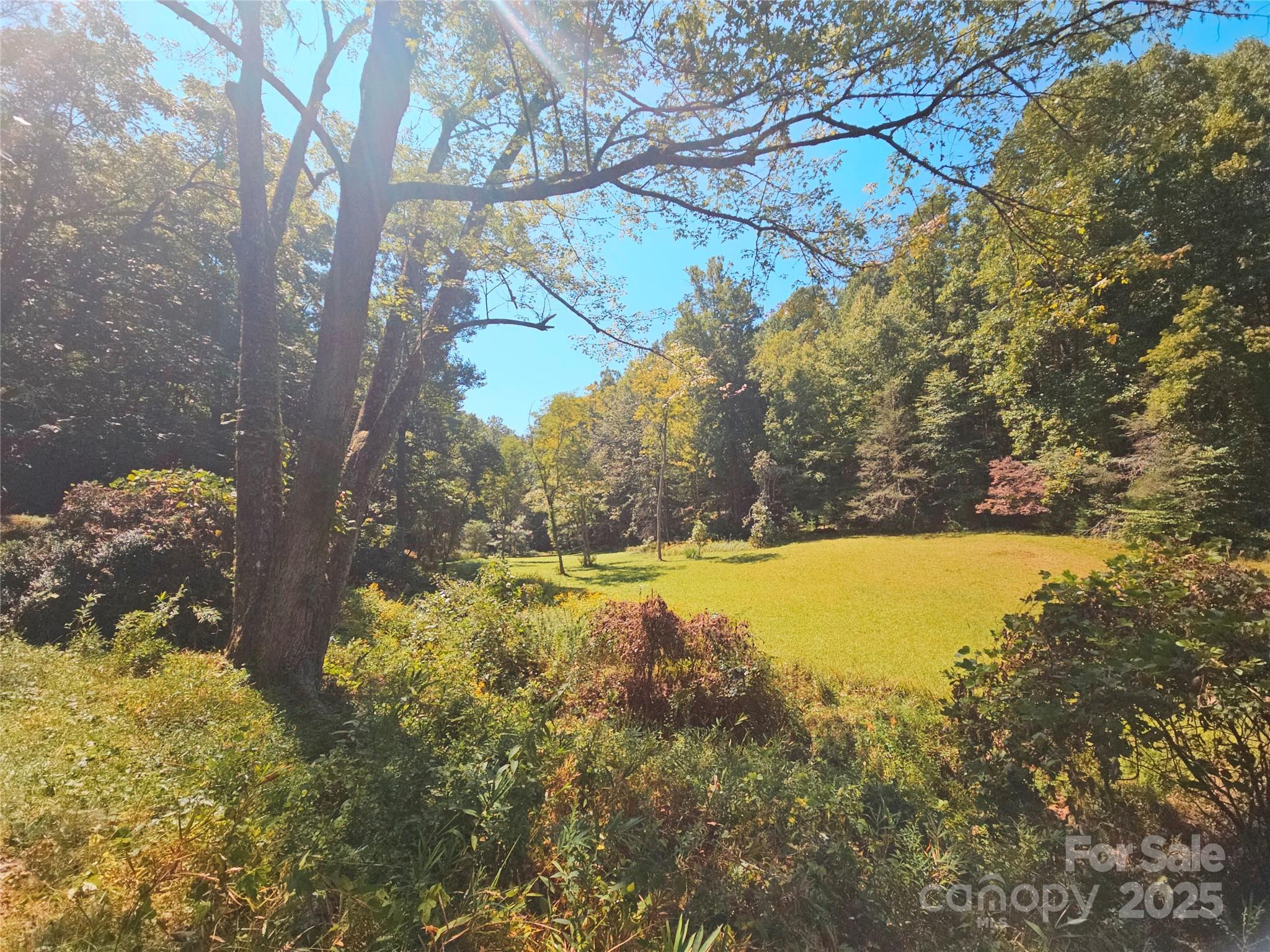 900 Bud Siniard Road Property Photo 10