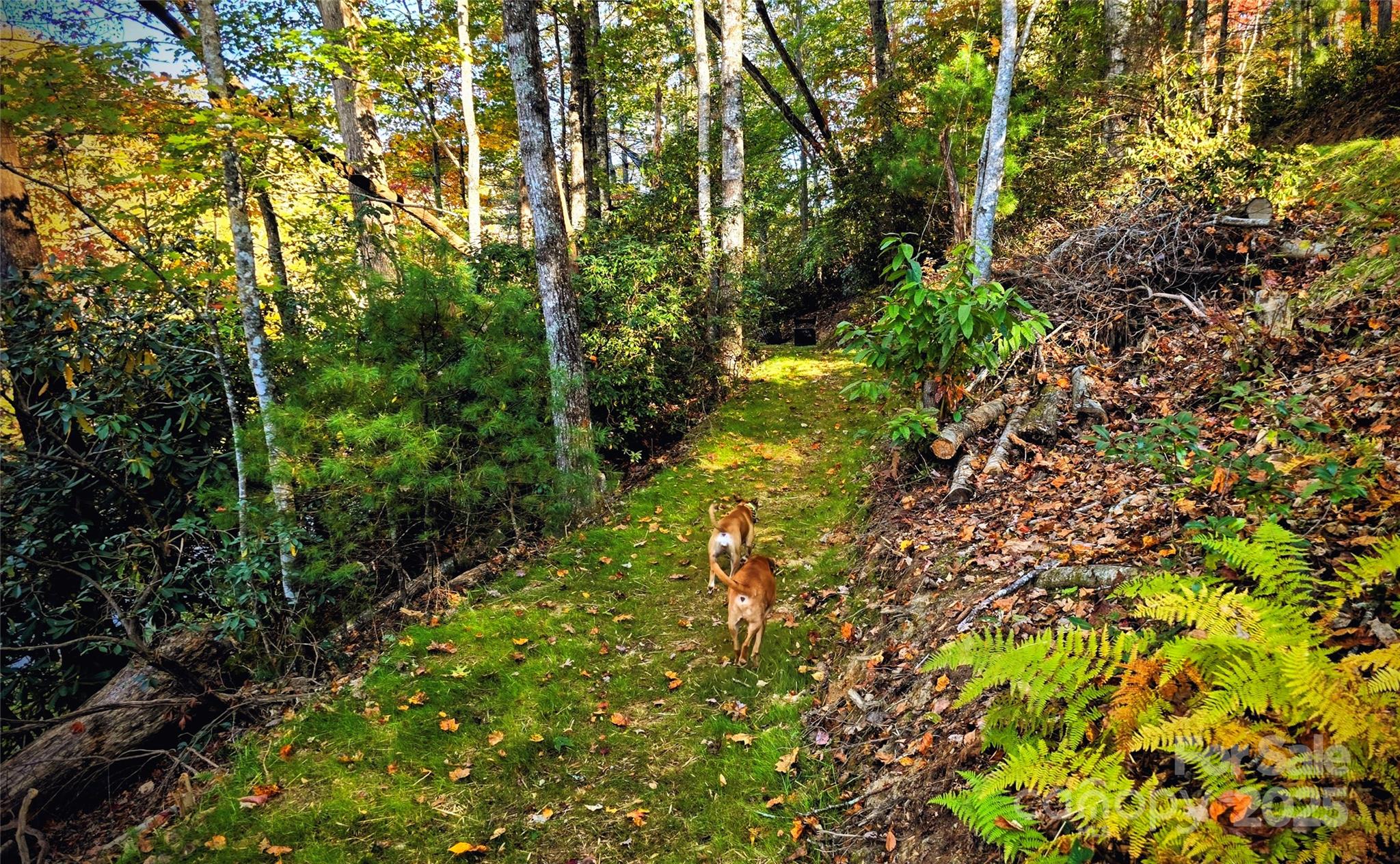 900 Bud Siniard Road Property Photo 11