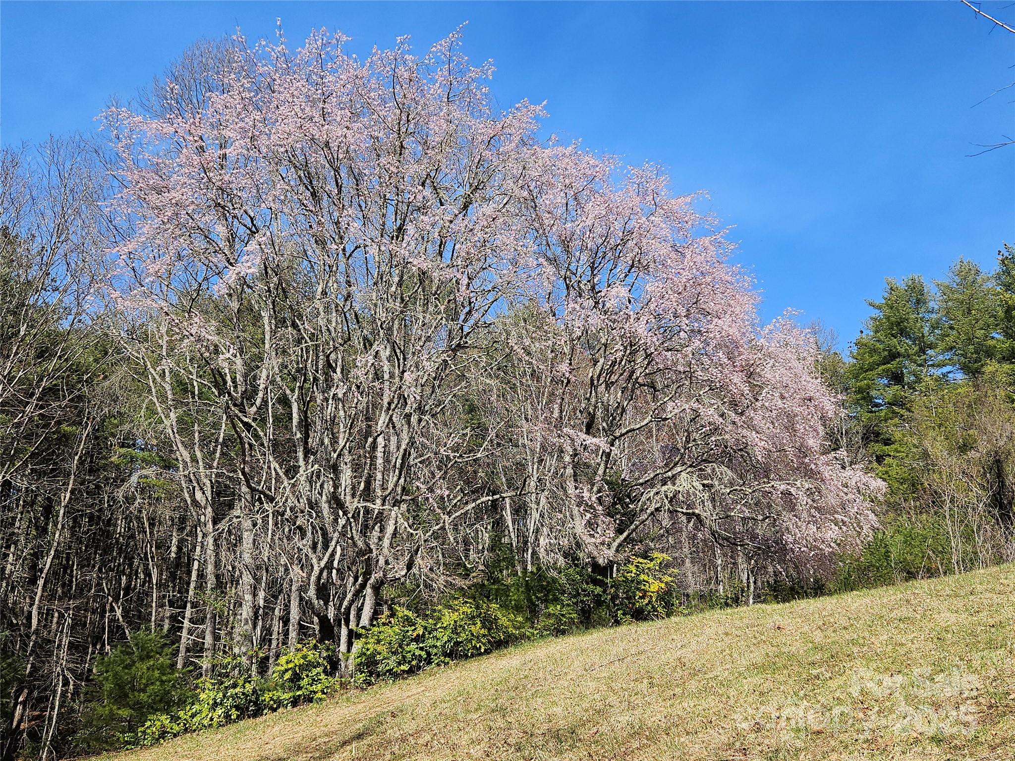 900 Bud Siniard Road Property Photo 15