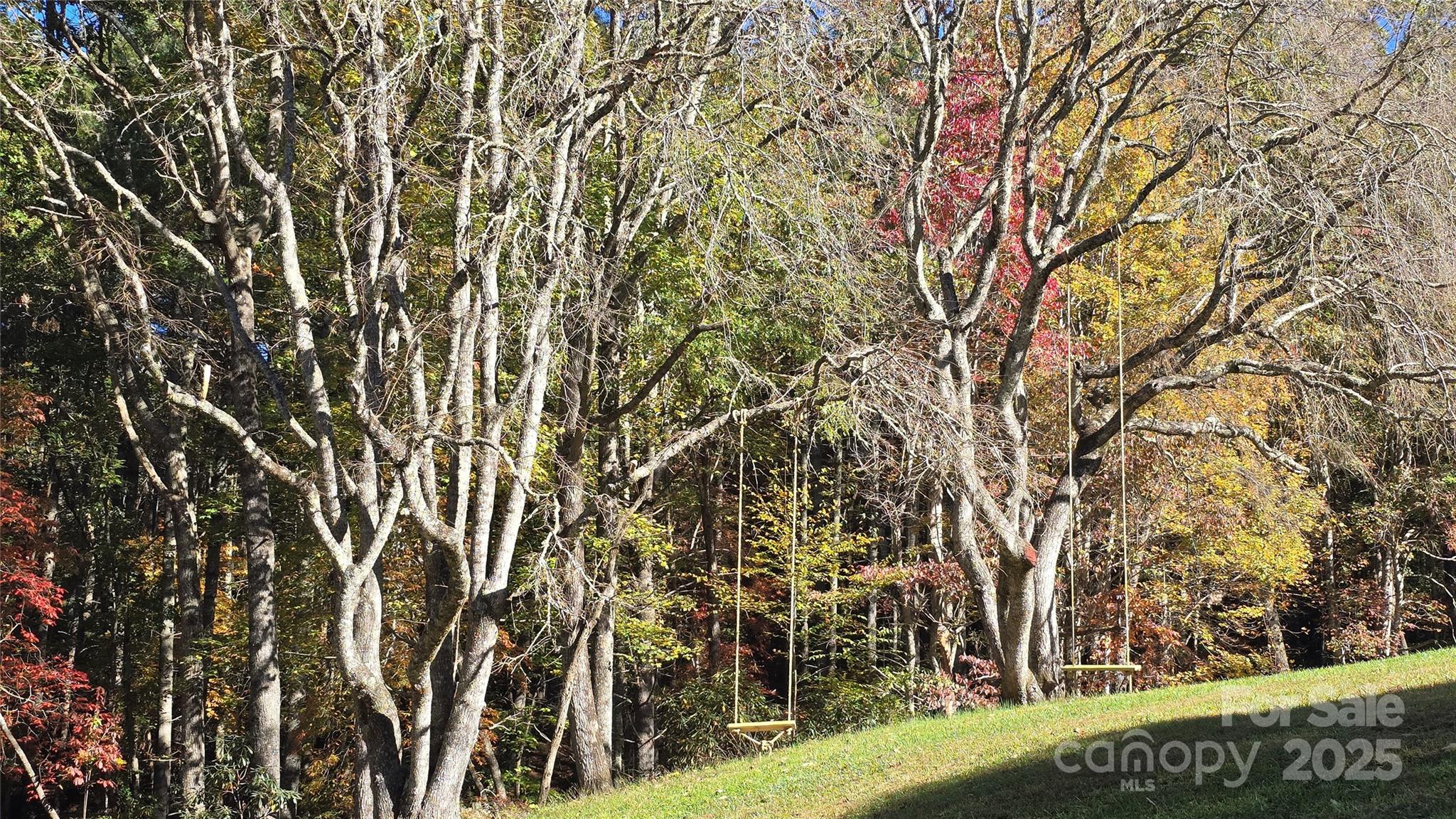 900 Bud Siniard Road Property Photo 16