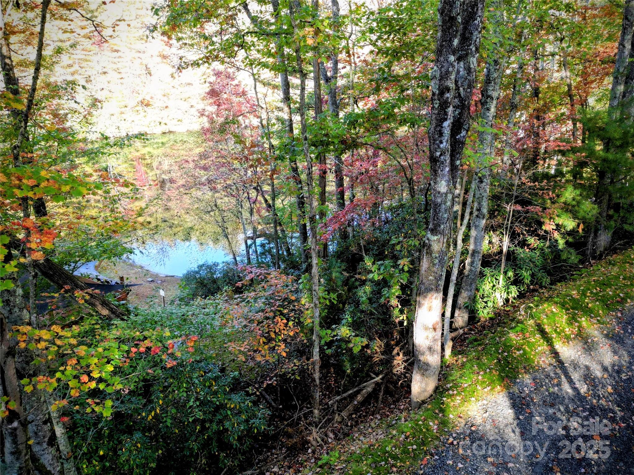 900 Bud Siniard Road Property Photo 18