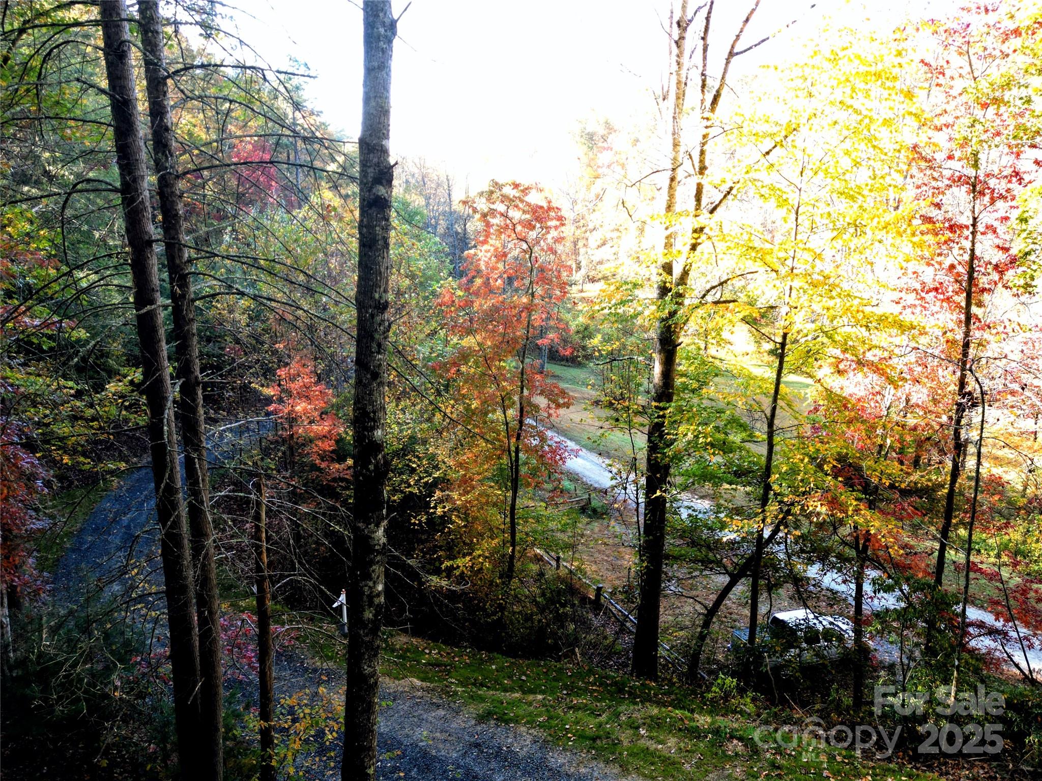 900 Bud Siniard Road Property Photo 19