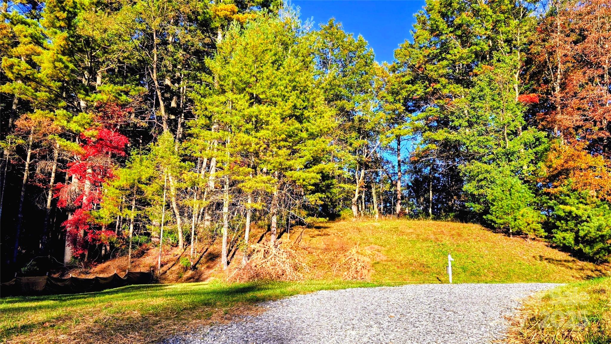 900 Bud Siniard Road Property Photo 27