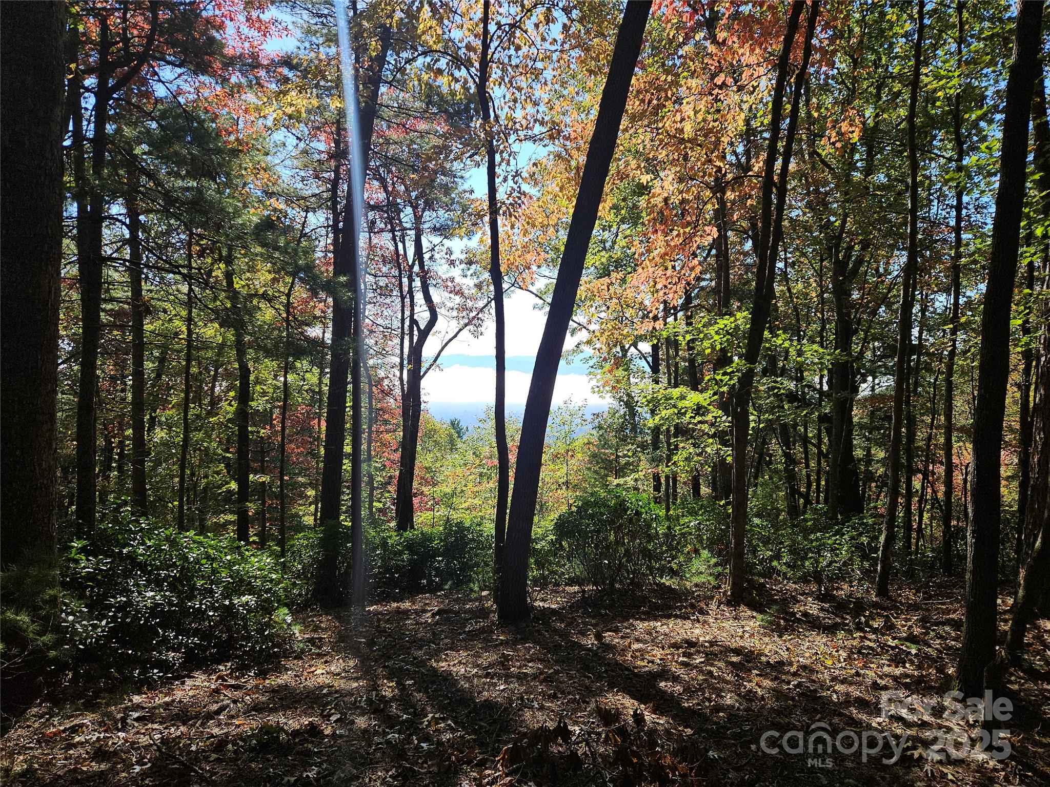 900 Bud Siniard Road Property Photo 28