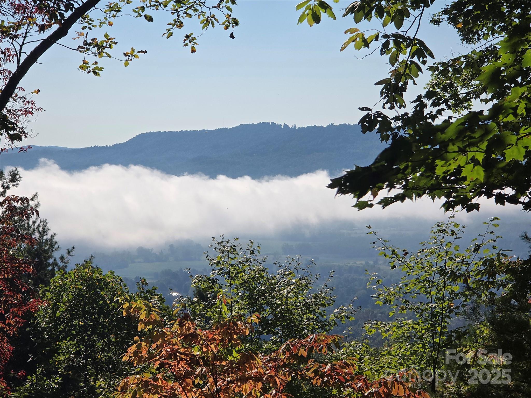 900 Bud Siniard Road Property Photo 29