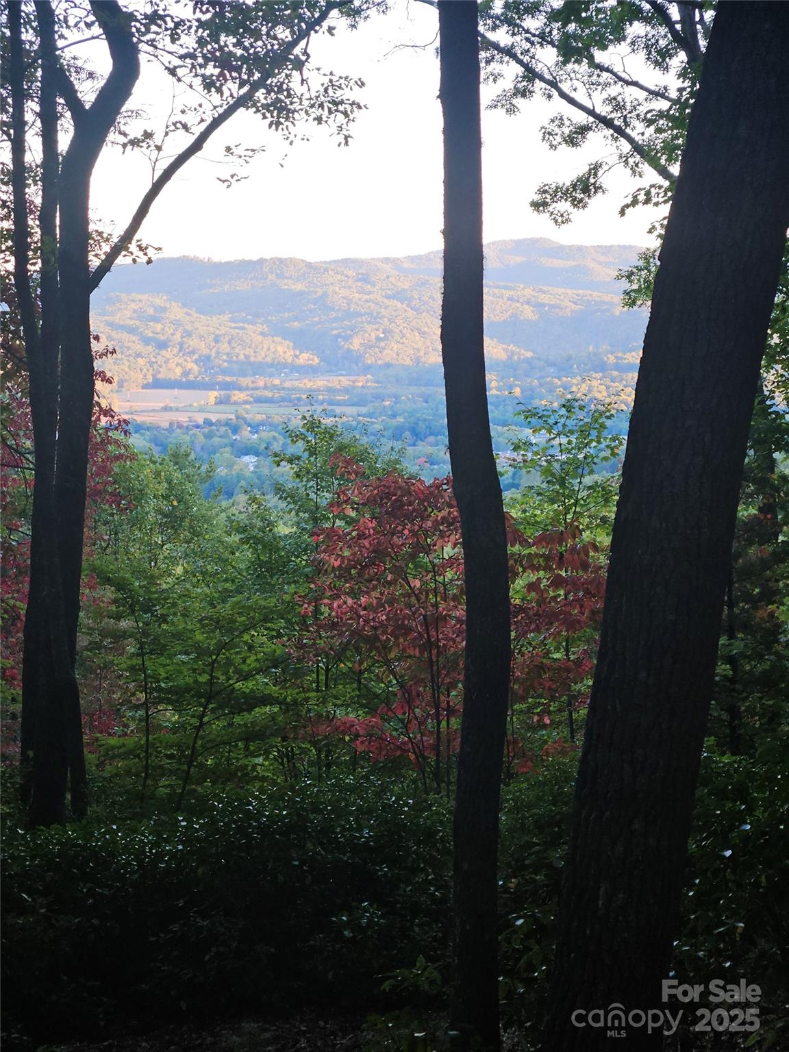 900 Bud Siniard Road Property Photo 30