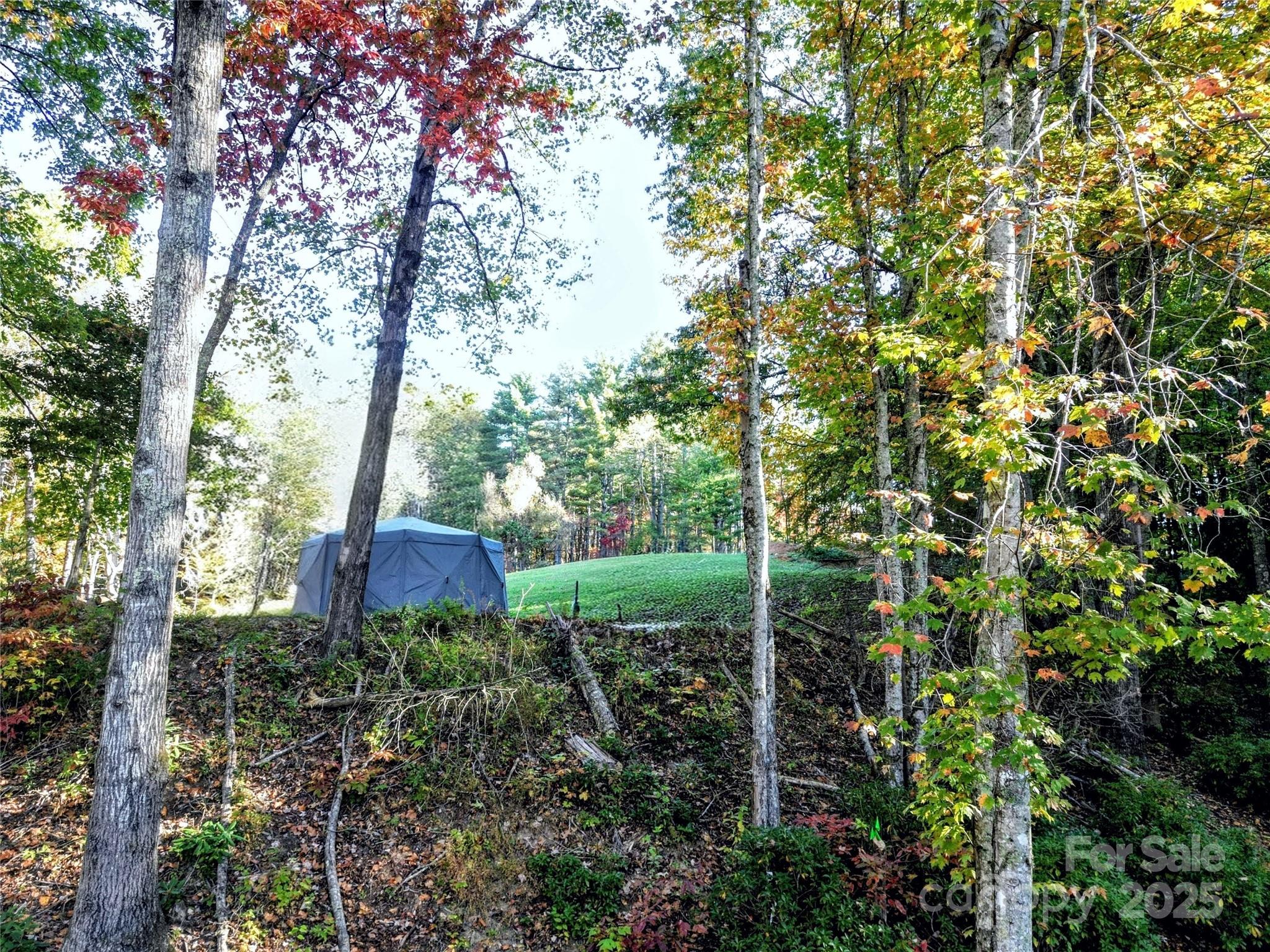 900 Bud Siniard Road Property Photo 33