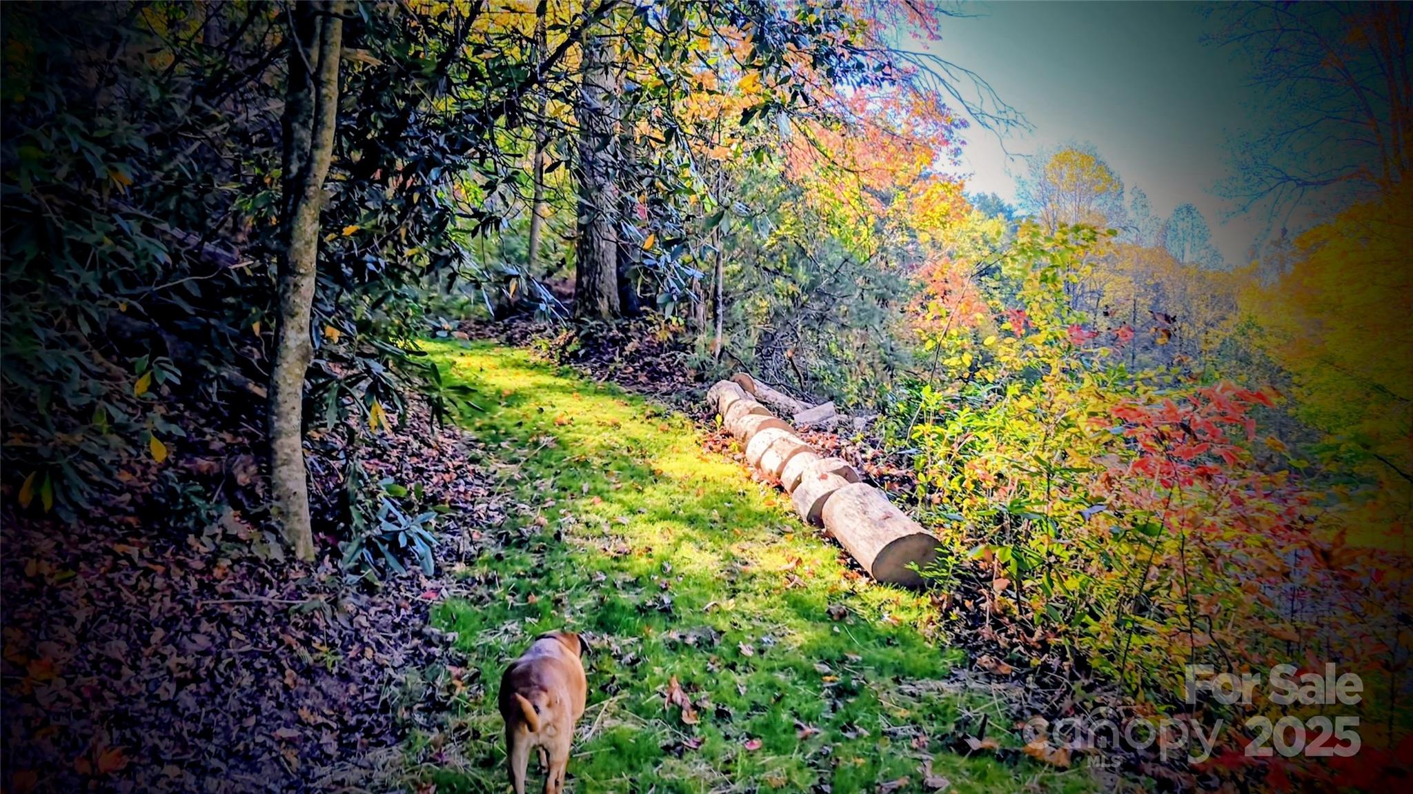 900 Bud Siniard Road Property Photo 39